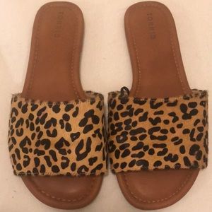 Torrid leopard slides